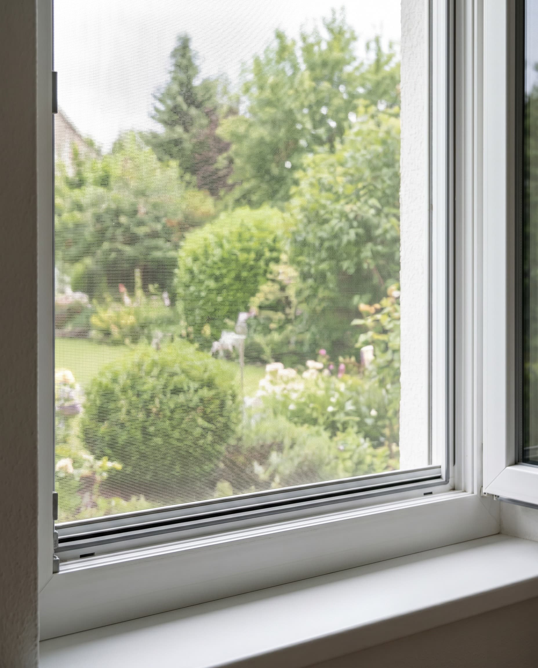Insektenschutz Fenster